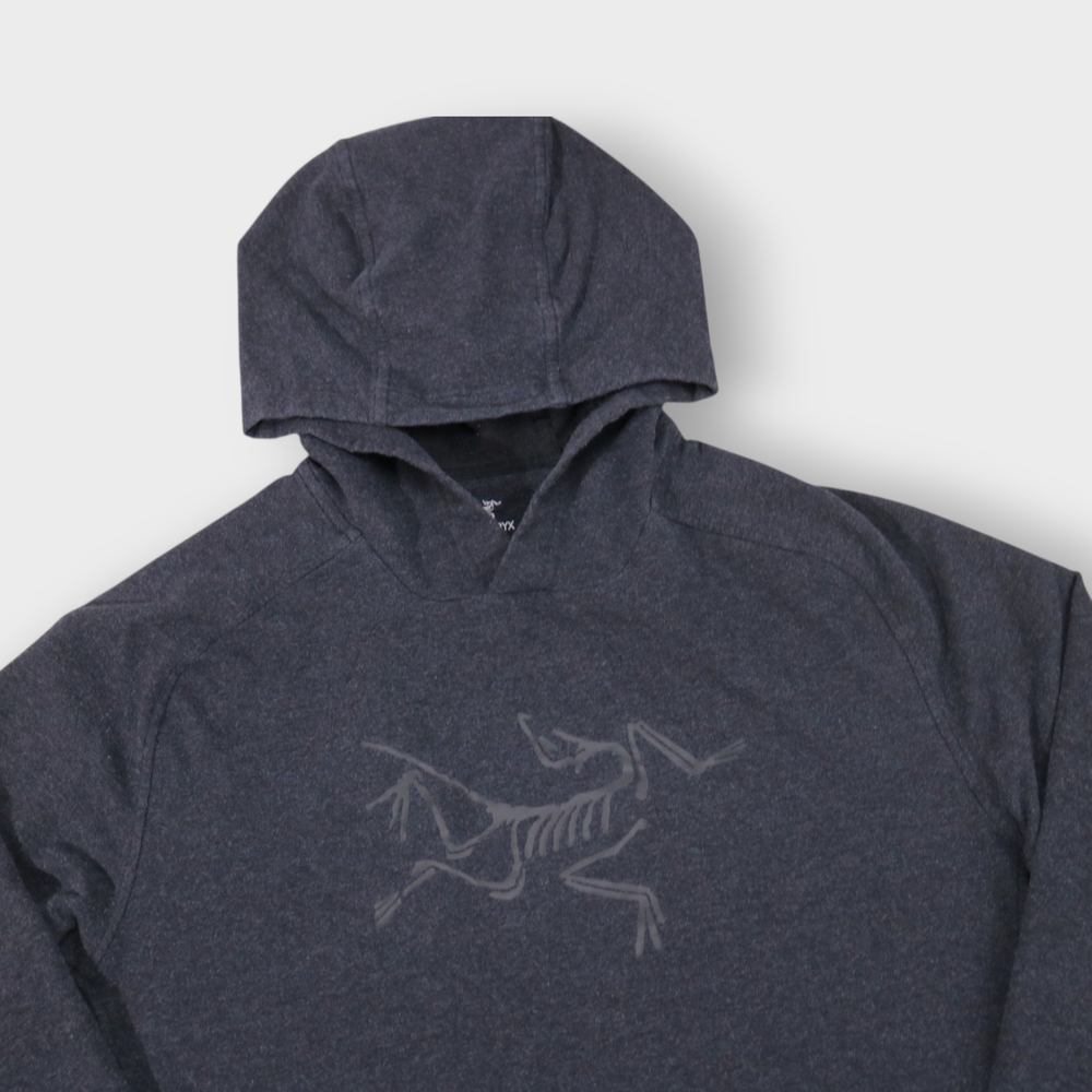 Arcteryx Archaeopteryx Pullover Hoody Mens XLarge Black On Black Hoodie - Picture 2 of 7